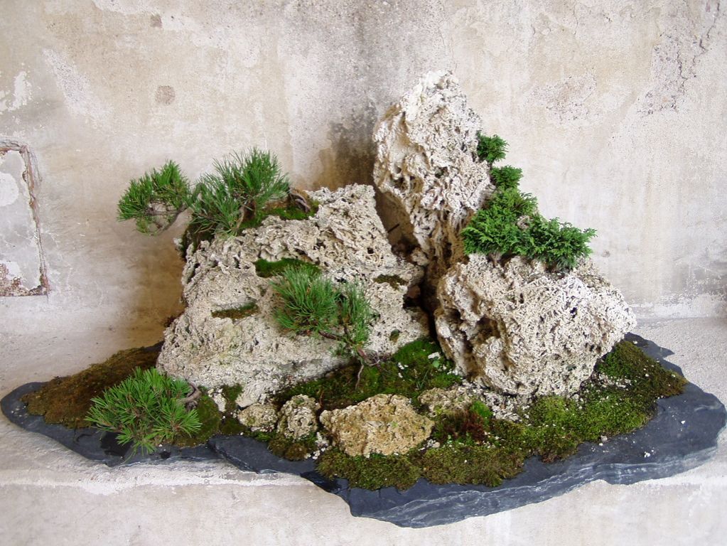 P1010034.JPG